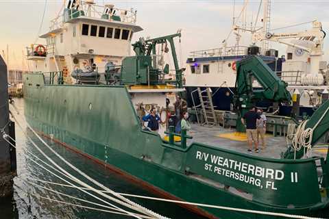 USF scientists embark on a Piney Point research cruise in Tampa Bay