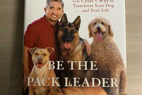 Cesar Millan ‘Be The Pack Leader’ Hard Cover Book With Melissa Peltier Best Sell