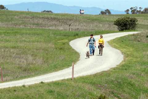 Richmond’s Point Pinole is a good place to beat the heat