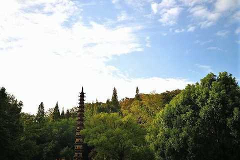 The Revival of Meditation in China: A Seven Day Retreat at Yuquan Monastery