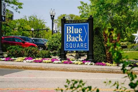 Blue Back Square Sold to Connecticut Real Estate Development Company