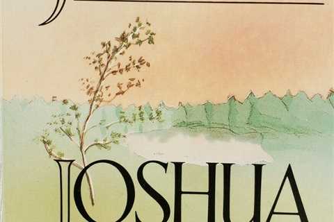 Two Best selling Novels by Joseph F. Girzone, Joshua & Joshua And The Children