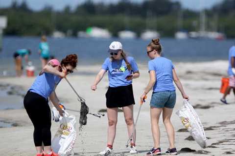 You could make money cleaning up these spots in Tampa Bay