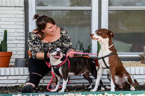 What is it like to live in San Antonio’s Shearer Hills neighborhood?