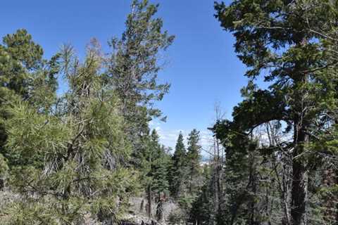 Mormon Lake Lookout Tower near Flagstaff