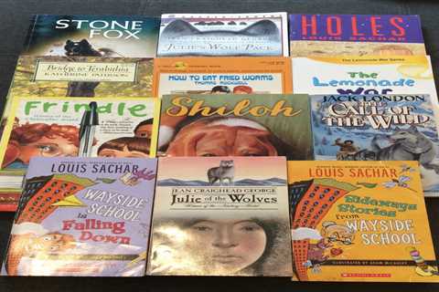 12 Book Lot Award Winning Best Selling Novels GL 3-6 Homeschool Teacher Class