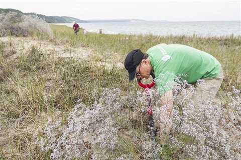 Get outdoors: Area nonprofit agencies need more volunteer helpers | GO