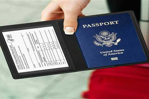 Best Selling Leather Passport and Vaccine Card Holder With Card (Prop)