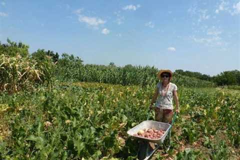 MY VILLAGE IS BETTER THAN LONDON!  Veselinka Beba McLaron changed the English capital with a village close to Fruška gora!