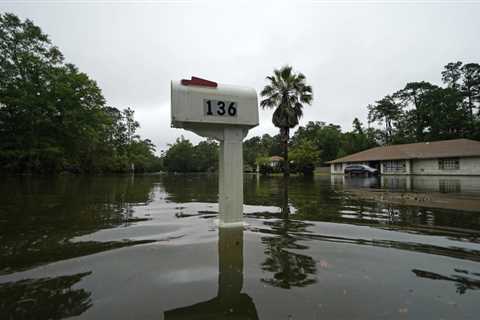 Crash “likely” due to storm, 10 dead in Alabama – Tampa, Florida,