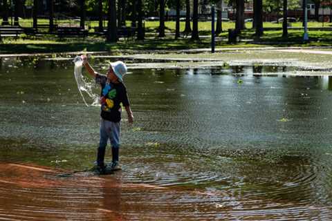 NYC Needs a New Metric for Warning Residents About Deadly Storms