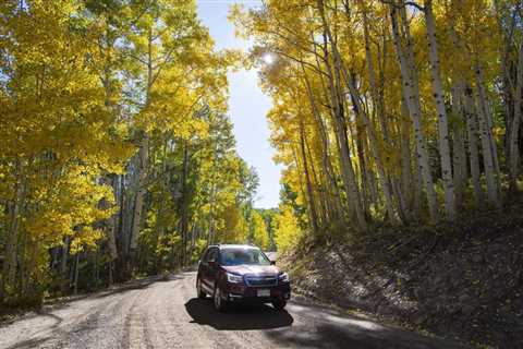 5 autumn rides in Colorado by means of large aspen groves |  way of life