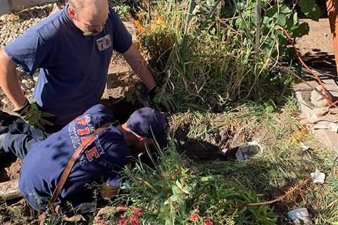 Cheyenne firefighters rescue kitten stuck in drainpipe