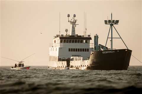 OCEARCH ends “incredibly magical” final visit to Nova Scotian