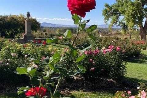 Colorado Springs Climate: Heat, Dry Tuesday and Past |  climate