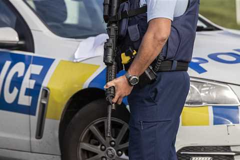 Man arrested after reports of person pointing a gun out of a car window in Wellington