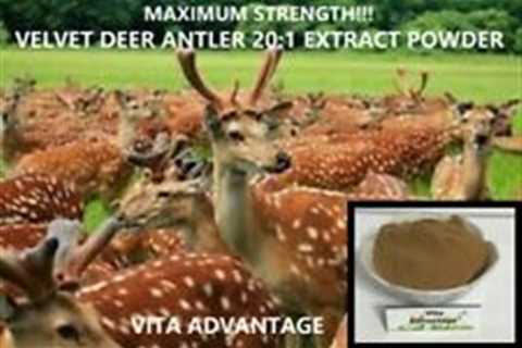 DEER ANTLER VELVET 20:1 EXTRACT POWDER  IGF-1 MAXIMUM STRENGTH! BEST SELLING!