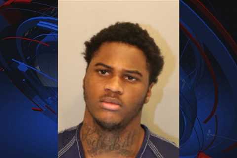 Tallahassee Police arrest a man for shootings on Royal Oaks Drive