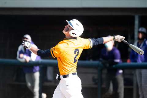 Ann Arbor area baseball players to see their entry into the state tournament