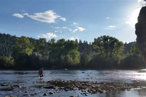 Estimated trout streams shrink in the heat, drought attacks US West Buckrail