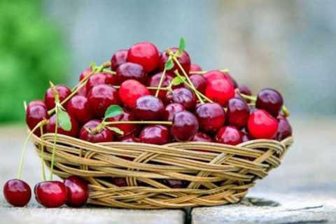 “One thing occurred to the cherries”: The producers haven’t any clarification