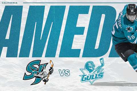 MATCH DAY: BARRACUDA AT GULLS |  San Jose Barracuda