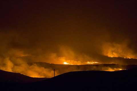 Feuerwehr prognostiziert gefährliche Waldbrandbedingungen, arbeitet an der Reduzierung von Brennstoffen