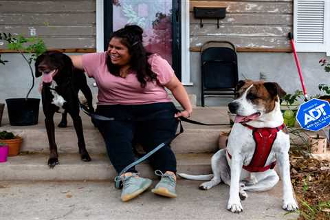 What is it like to live in the Palm Heights neighborhood of San Antonio?