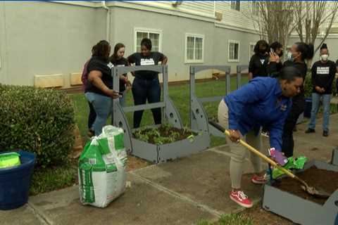 Social workers creating fruit and vegetable garden at Charlotte hotel-turned-homeless shelter