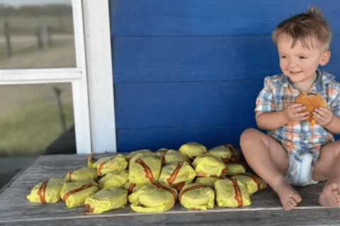 Texas toddler orders 31 McDonald’s cheeseburgers on DoorDash after catching mom’s phone and generously tips driver $16