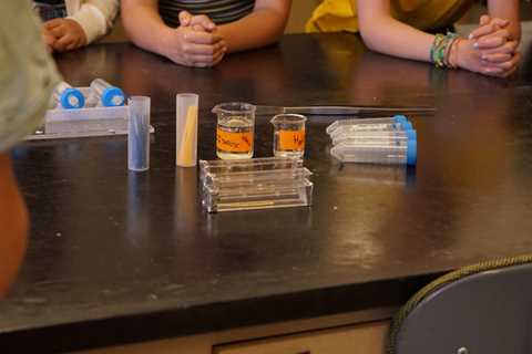 Kids explore frogs, bees and science at the University