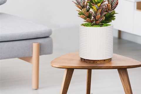 Best Selling Round Ribbed Pot on Wood Base, White