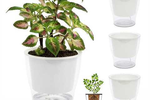 Best Selling Pots Wick Flower Pots for Indoor Plants,