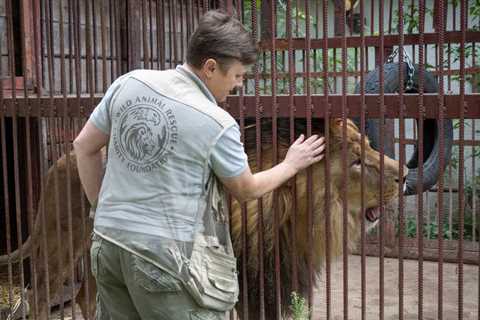 The Ukrainian risks her life to save wild animals from the war