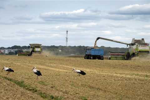 Grain ship docks in Ukraine and sets off for Africa