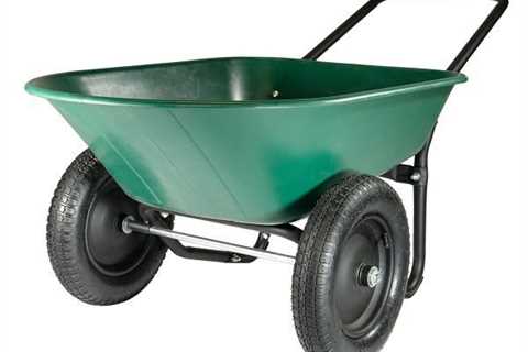 Best Selling Dual Wheel, Poly Tray Wheelbarrow