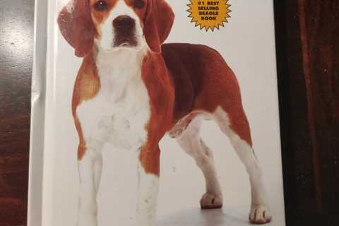 Beagles , by Beverly Pisano, #1 Best Selling Beagles Book