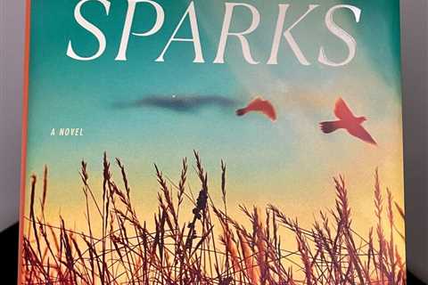 Dreamland by #1 Best Selling Author Nicholas Sparks - Hard Cover