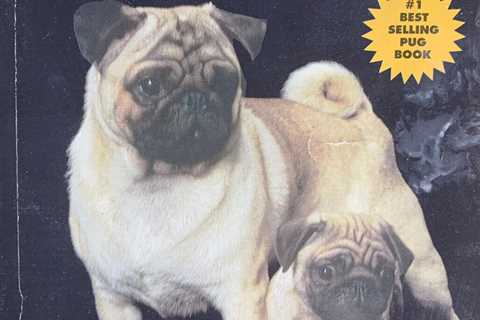 PUGS by Filomena Doherty #1 Best Selling Pug Book KW-104S Paperback