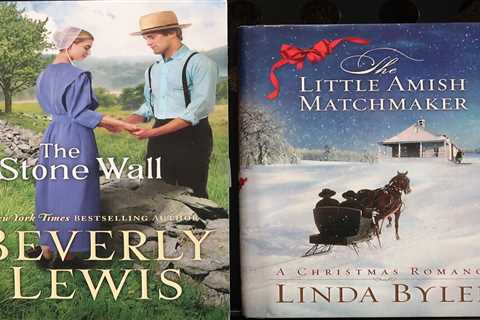 (2) AMISH ROMANCE CHRISTIAN FICTION NOVELS by 2 Best Selling Authors  