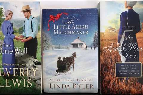 (3) AMISH ROMANCE CHRISTIAN FICTION NOVELS by 3 Best Selling Authors  