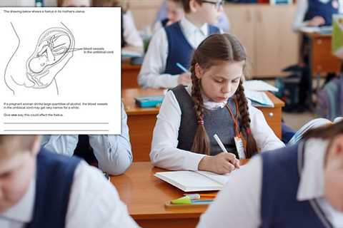 Could YOU pass this science exam set for 14-year-olds? Test your brain on this Year Nine SATs paper