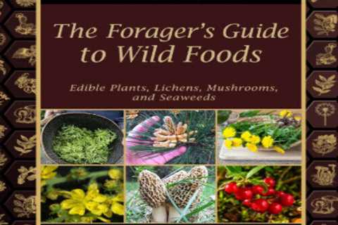 The Forager’s Guide to Wild Foods By Claude Davis best selling book