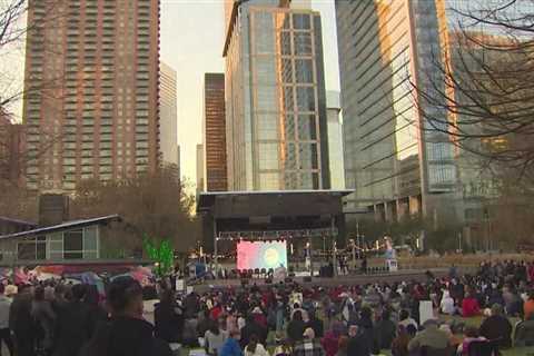 Lunar New Year celebration in Houston, Texas