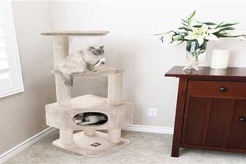 Best Selling Pet Cat Tree, 52