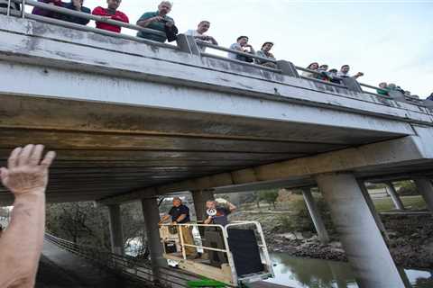 Houston’s (now unfrozen) Waugh Bridge bats released back into the wild