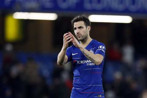 Ex-Spain star Cesc Fabregas ends career – •