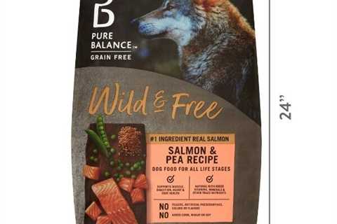 Best Selling - Wild & Free Salmon & Pea Recipe Dry Dog Food, Grain-Free, 24 lbs