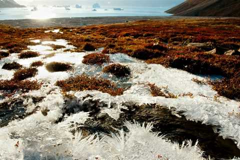 The world’s largest permafrost crater in Russia’s Far East is thawing as the planet warms