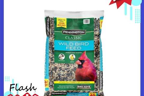 Pennington Classic Wild Bird Feed and Seed, 40 lb. Bag is our best selling mix.